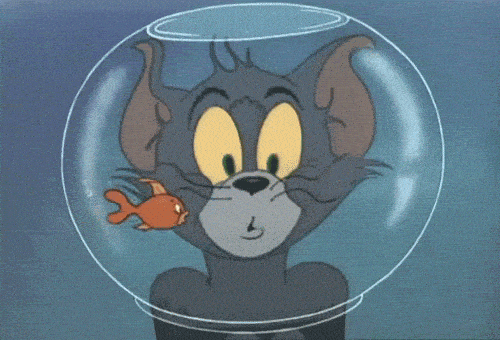 tom and jerry fish GIF.gif